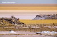 Etosha Pan 95-02-08